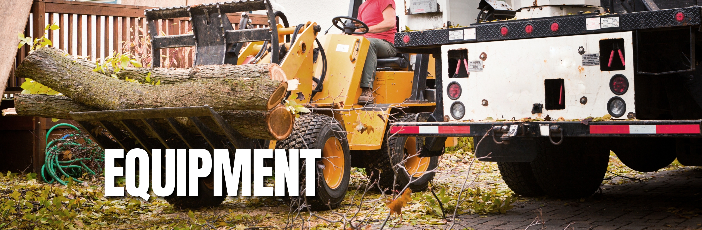 tree-removal-equipment