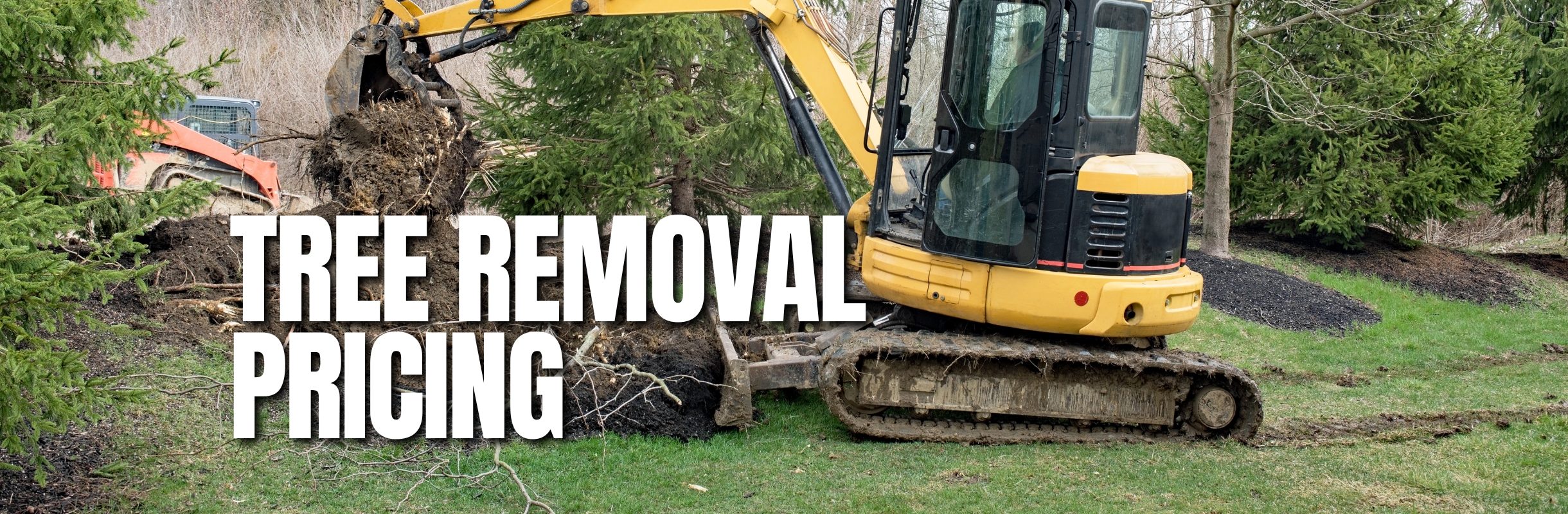 Tree-Removal-Pricing