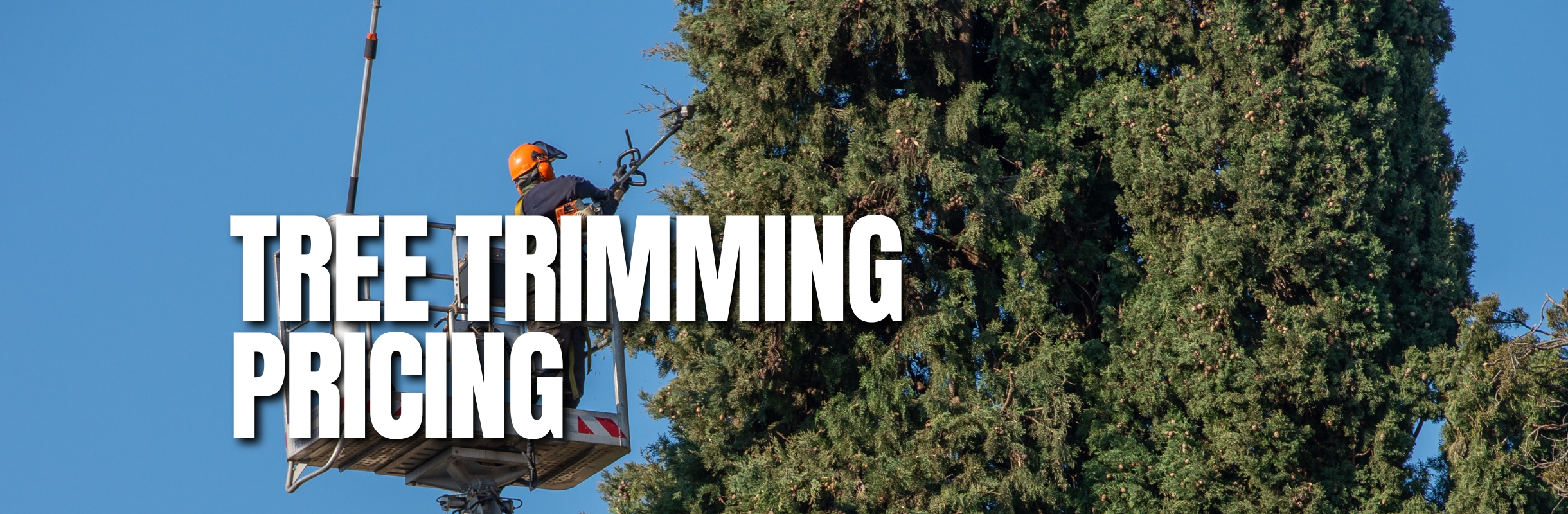 Tree-Trimming-Pricing